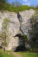 Bull Rock Cave